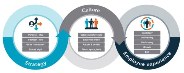 Strategy Culture Employee Experience connection e1648542090169