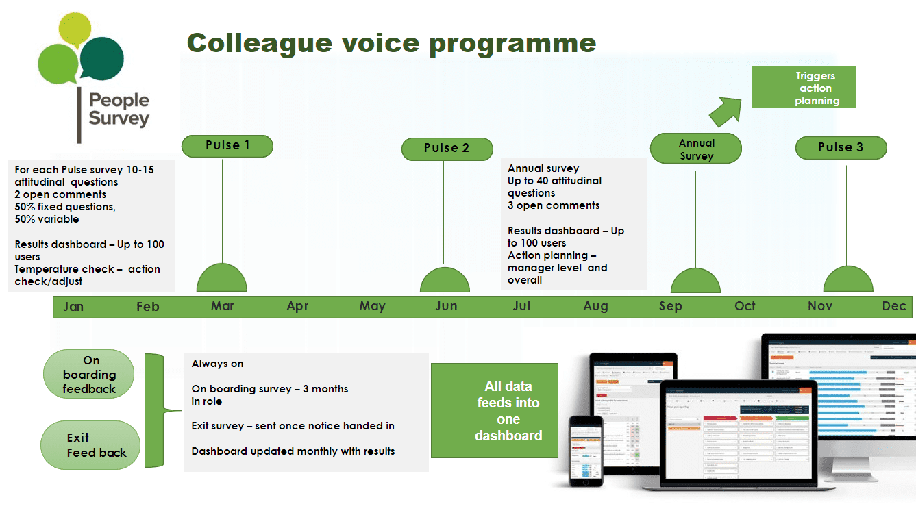Colleague Voice Programme